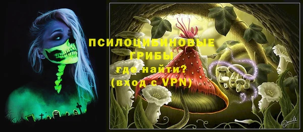 молекула духа Ханты-Мансийск