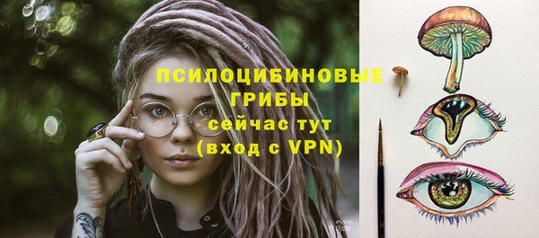 молекула духа Ханты-Мансийск
