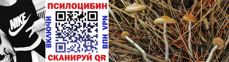 площадка как зайти  Шимановск  Галлюциногенные грибы мицелий 