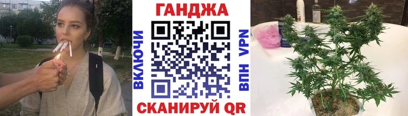 наркотики  Шимановск  МАРИХУАНА ГИДРОПОН 